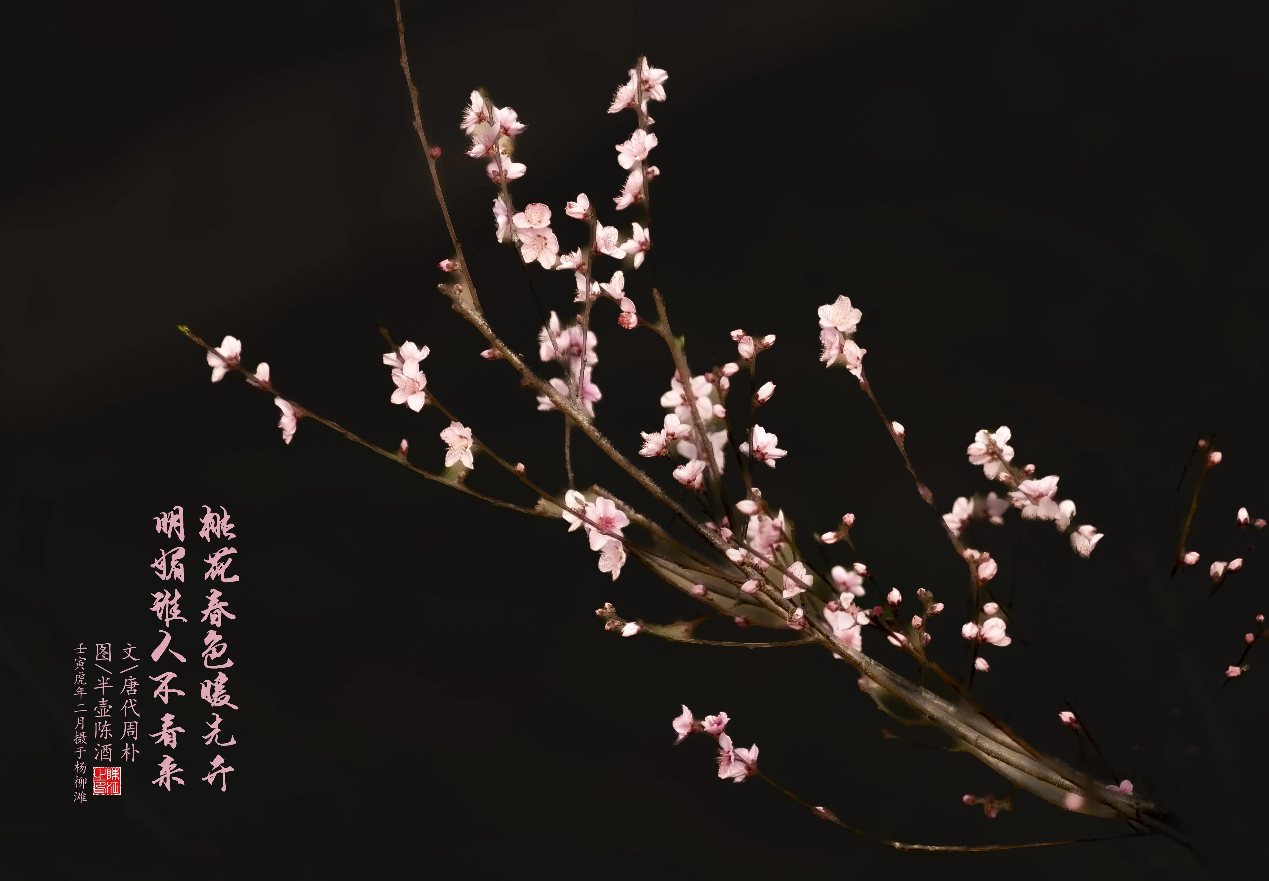 摄影棚拍白底图片,高端白底图拍摄