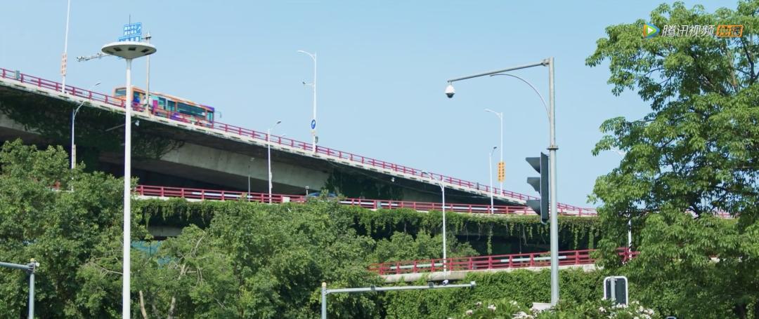 年度热剧2019,年度好剧开端