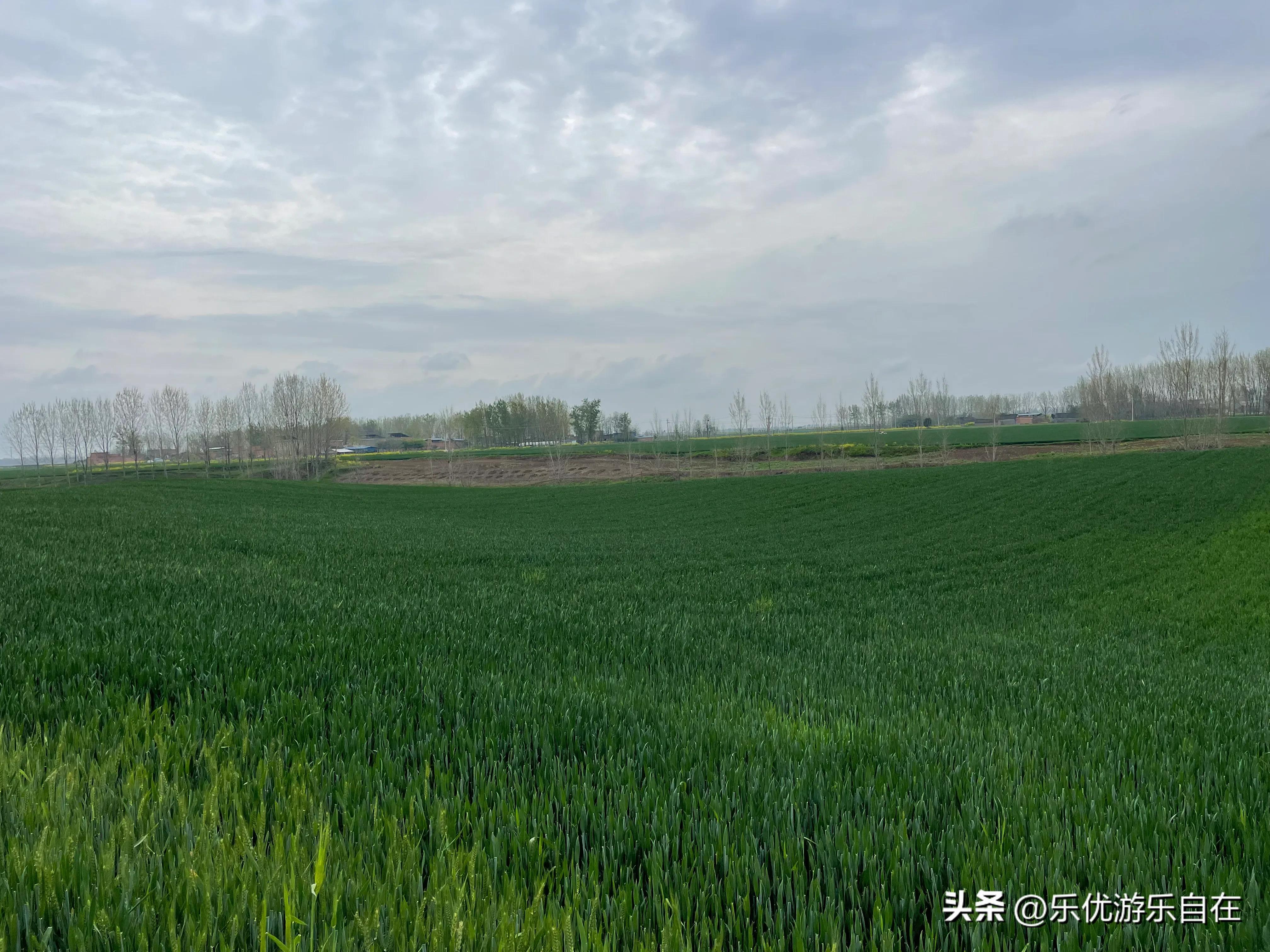 老家河南回城邓州什么意思,老家河南邓州穰东镇