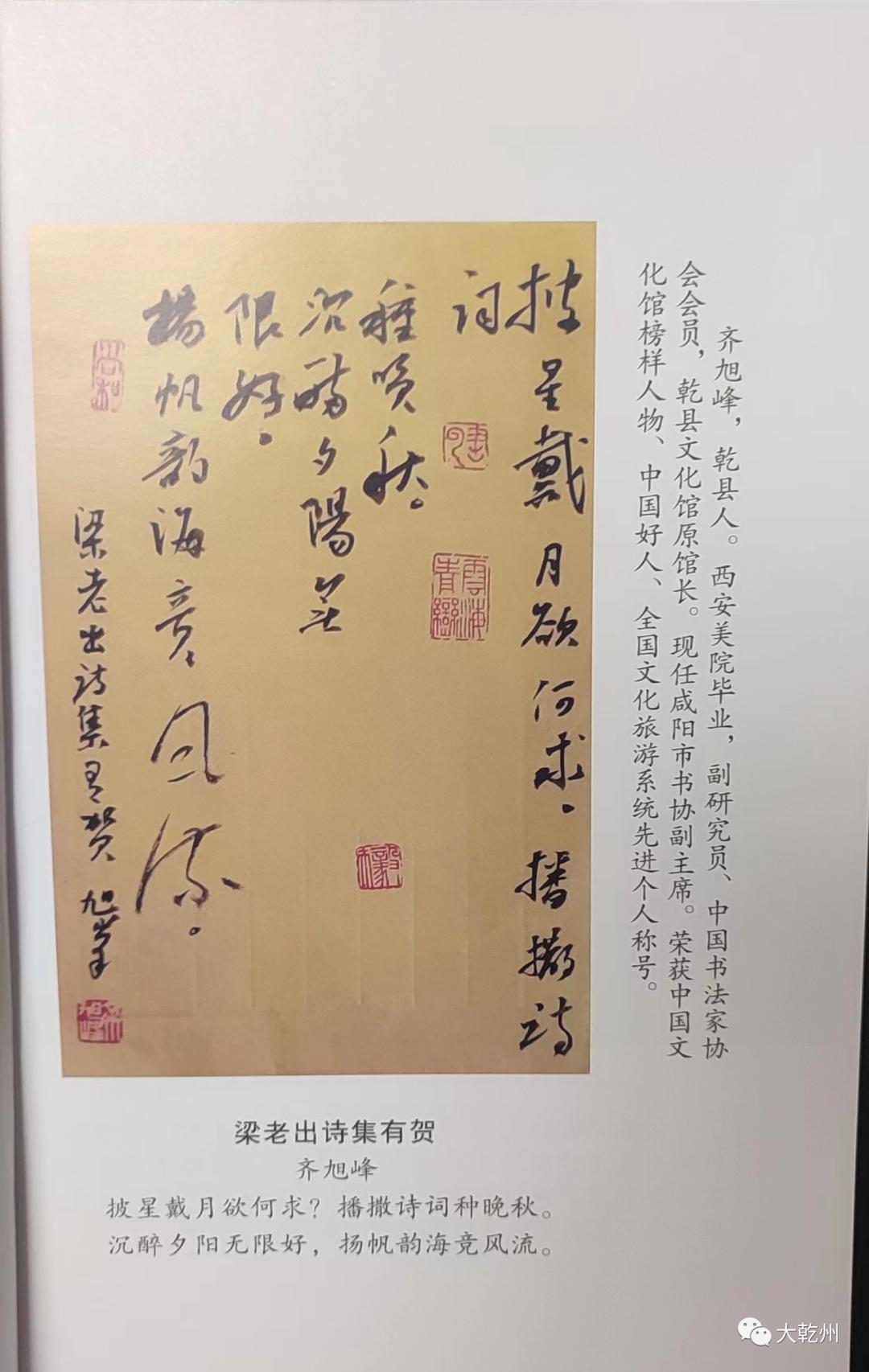 萧军:诗苑追梦万里行——读梁家齐先生《诗苑追梦》有思