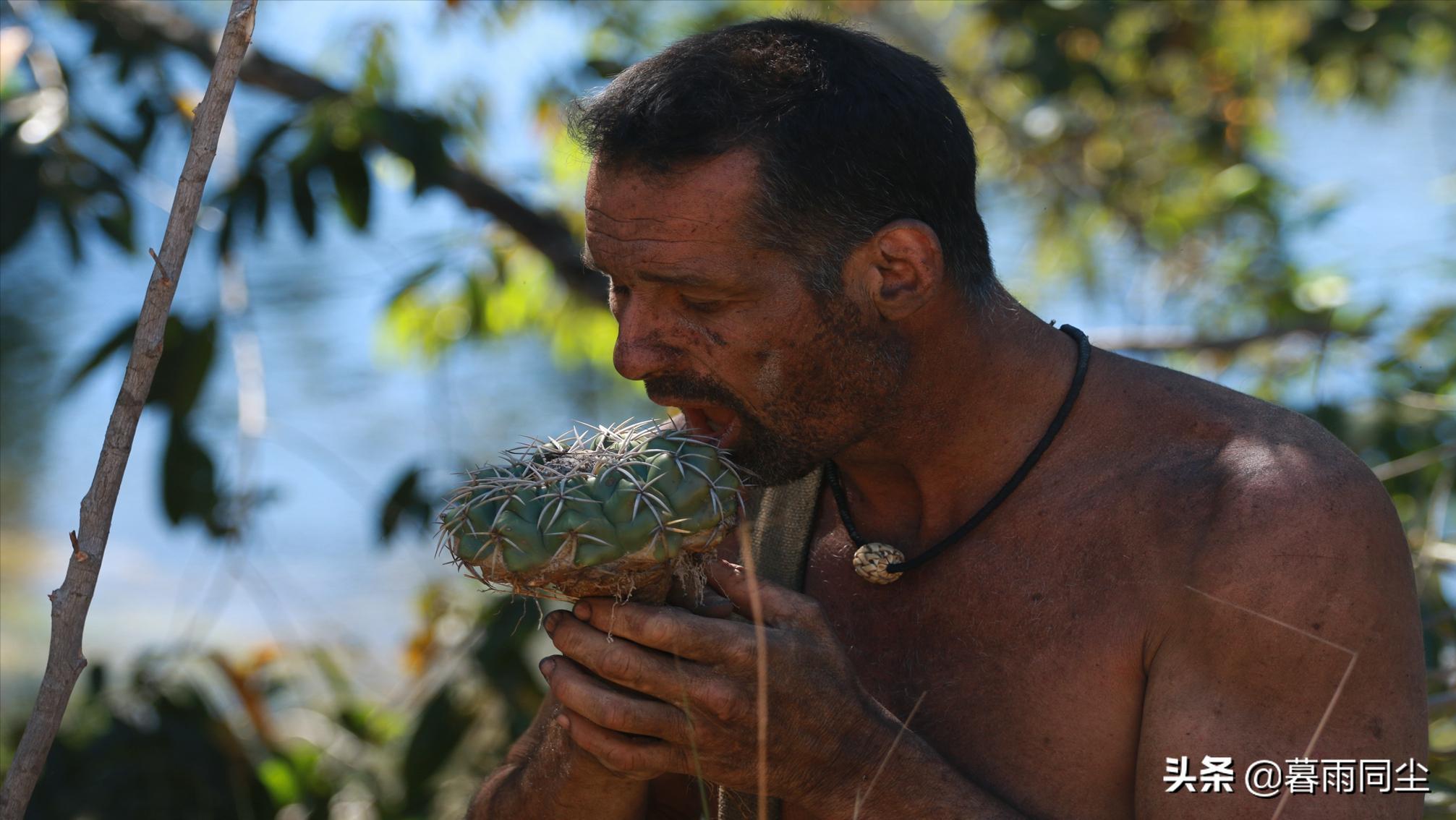 野外求生背包应该装什么,野外生存背包里的装备