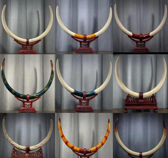 蜜蜡和猛犸哪个收藏价值高,猛犸单个牙收藏价值高吗