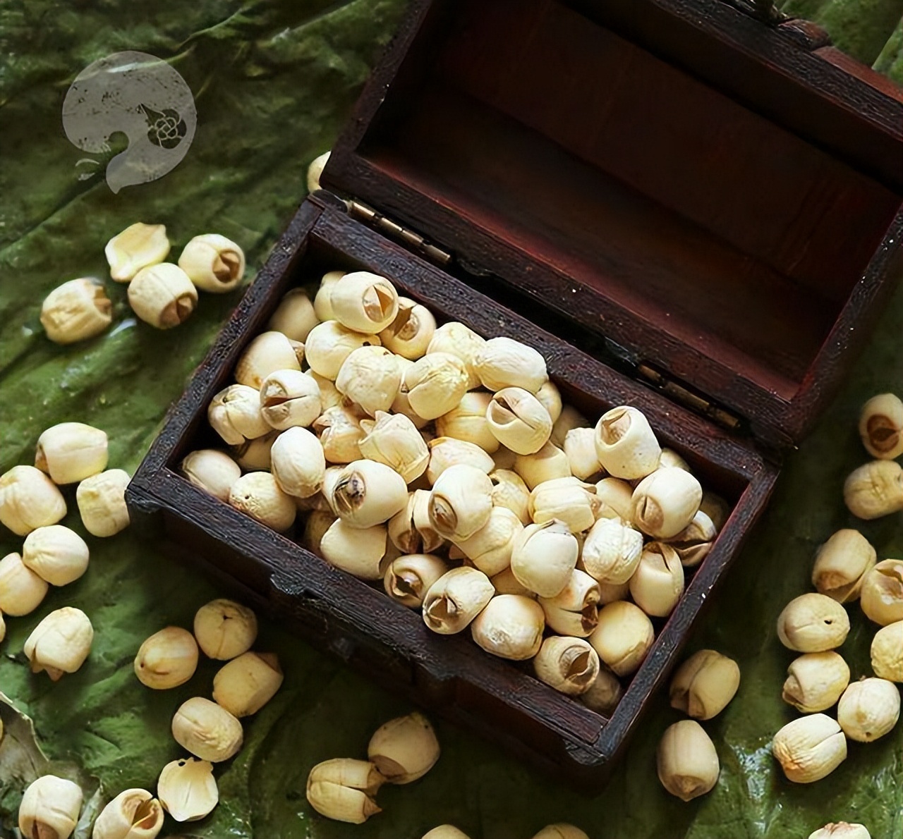 种莲藕能赚多少钱,90后种莲藕发家致富