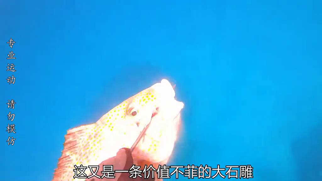 水下能见度3-5米潜水体验感怎么样,能见度20米的海