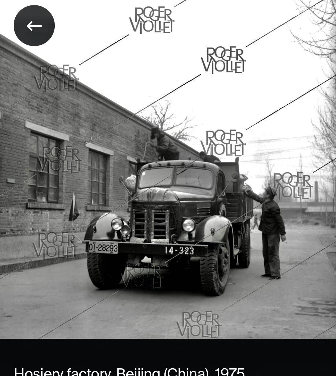 日军日记：*安妇慰**不服从管教，我很愤怒，用*刀刺**插入她的*体下**