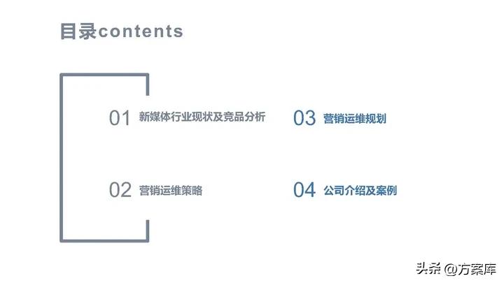 品牌系统营销方案,2020统帅品牌社会化营销策略提案