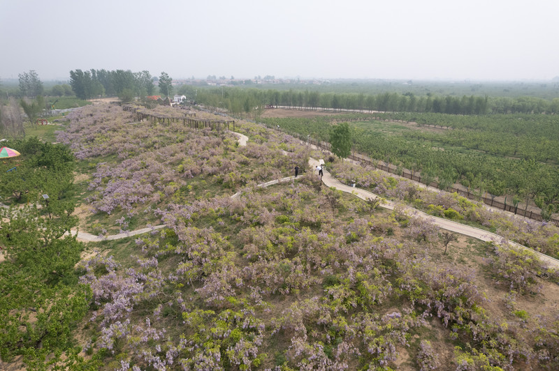 宿州两日游,宿州旅游攻略三日游