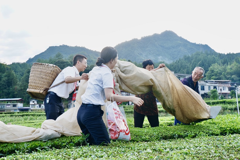 农业银行以党建促经营,农业银行党建促经营
