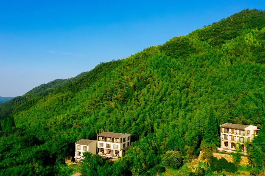 莫干山三天两晚绝美民宿,藏在莫干山的这家民宿真的美翻了