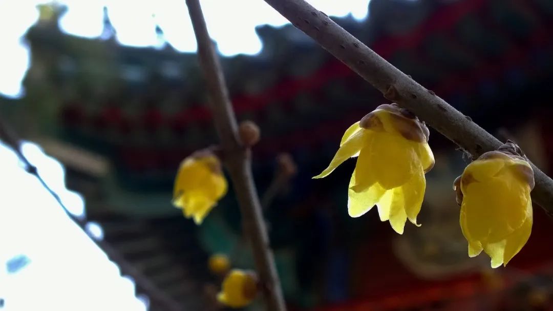 现在1块钱能买啥：1/4碗热干面，3片散装卫生巾，坐次184公里火车