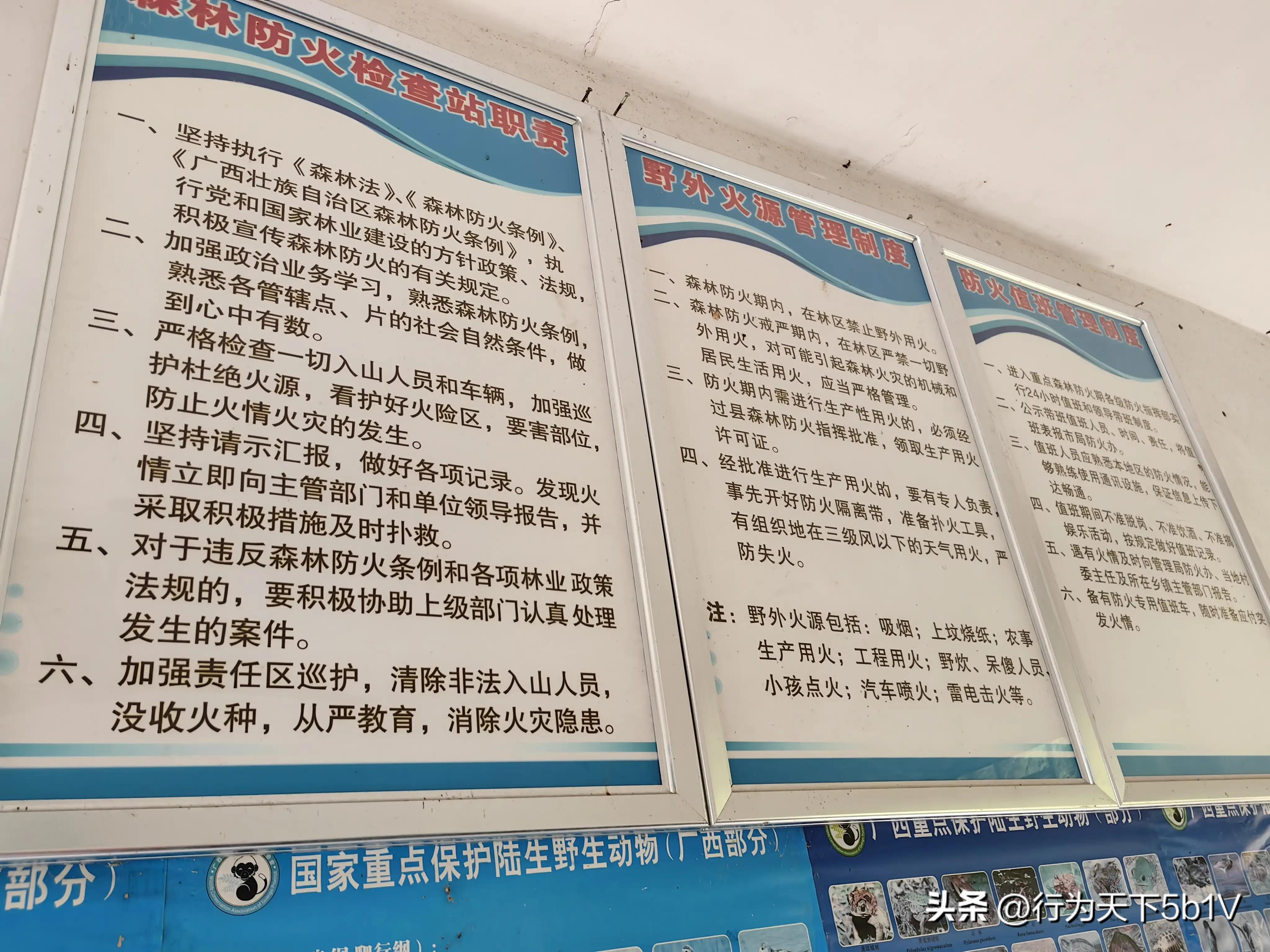 【探秘宛田红滩瀑布溯溪梦江吉翁瀑布】穿越花坪神秘风景线