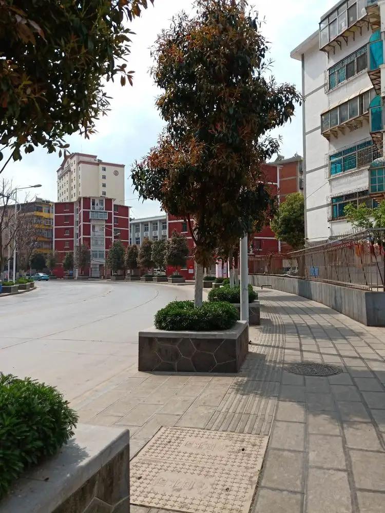 涓棫缃戠孩鎵撳崱鍦ｅ湴,涓棫鐪熺殑鏄吇鑰佸湥鍦板悧