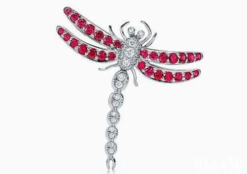 东西方大师都爱“小蜻蜓”，背后到底有什么大秘密？