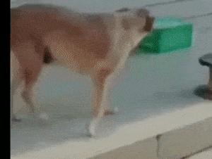 站着走路腰不舒服坐着没事,走路累了倒走能缓解吗