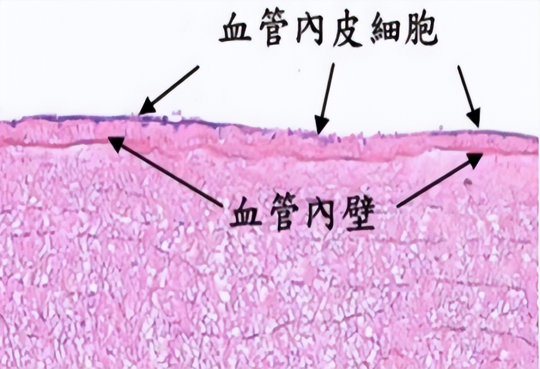 他达拉非4元一片，改善力不从心，保护血管内皮，抗前列腺增生