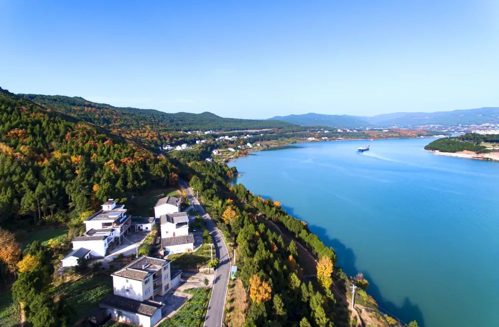 中国庭园风景区,中国庭园梨树