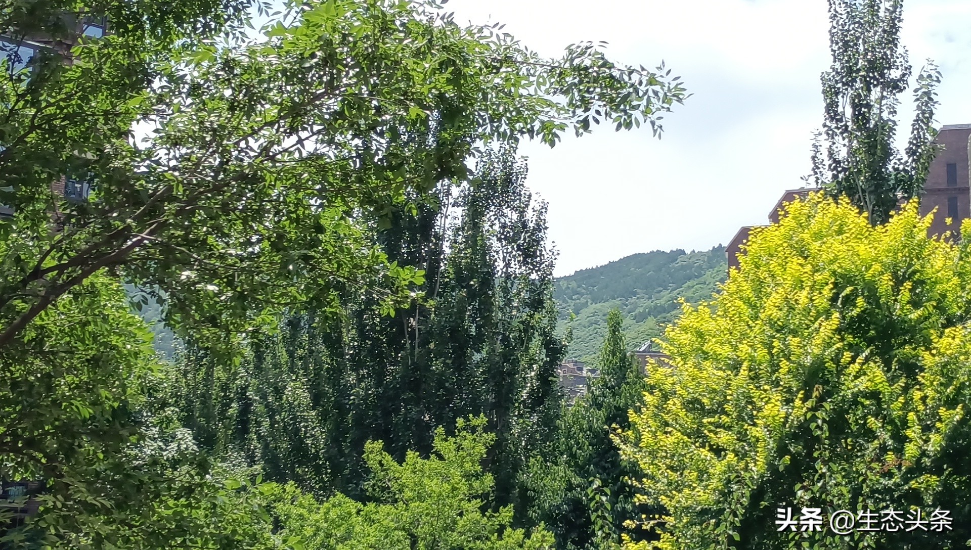 北京诗居哪里去？西山艺境赛桃源