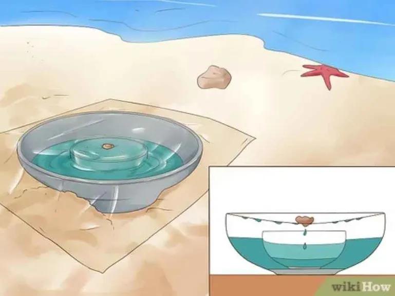 在没有淡水的时候可以吃什么食物,没有淡水可以喝海水吗