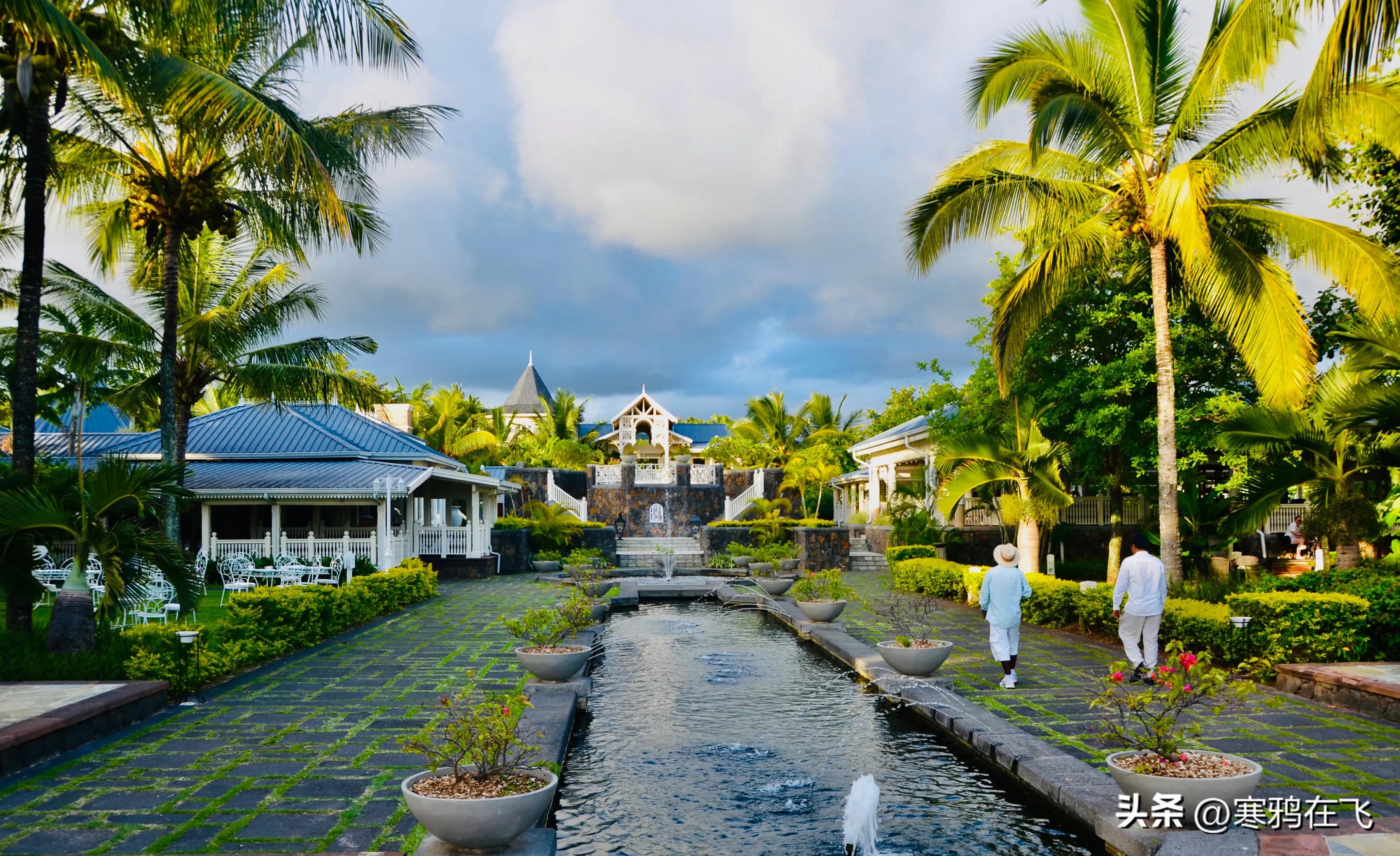 毛里求斯鹦鹉灭绝时间,毛里求斯有许多渡渡鸟吗