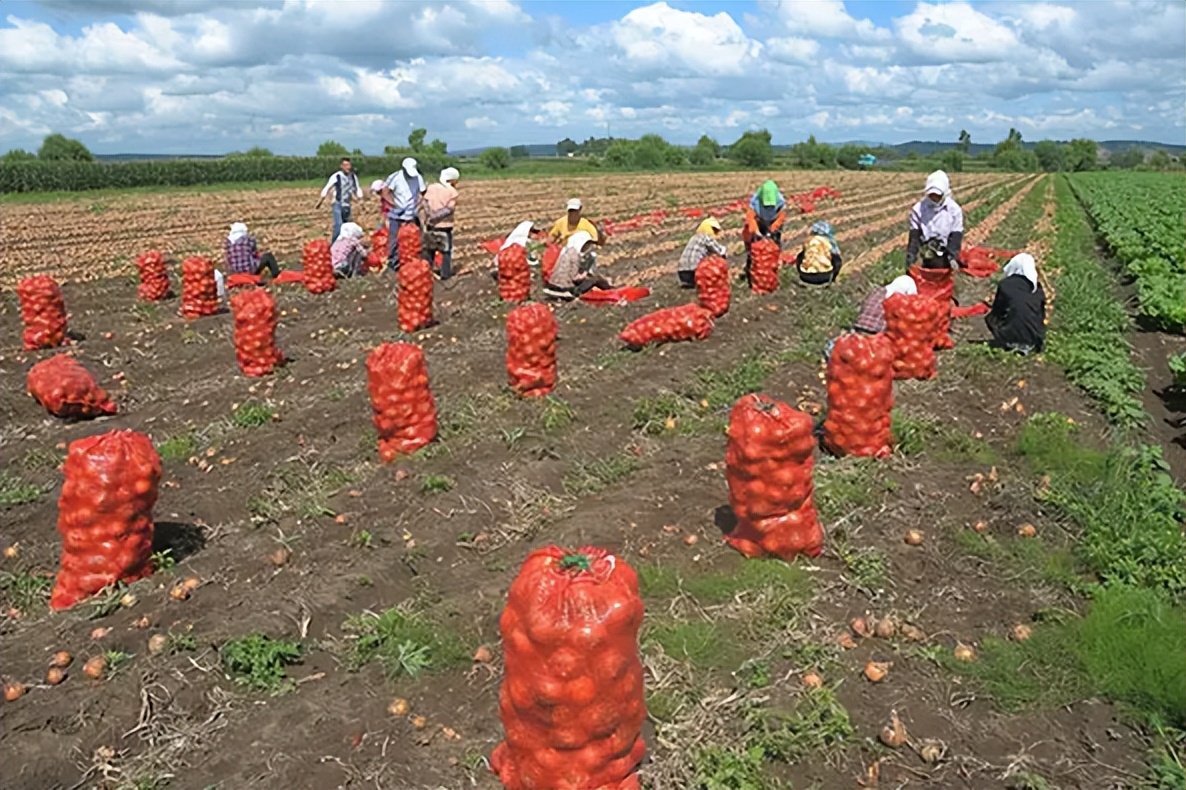 彩票连中两次千万大奖正常吗,连中两次500万彩票现状如何