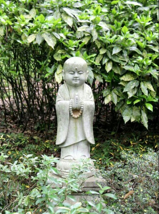 杭州普陀寺简介,杭州寺庙简介之永福寺韬光寺