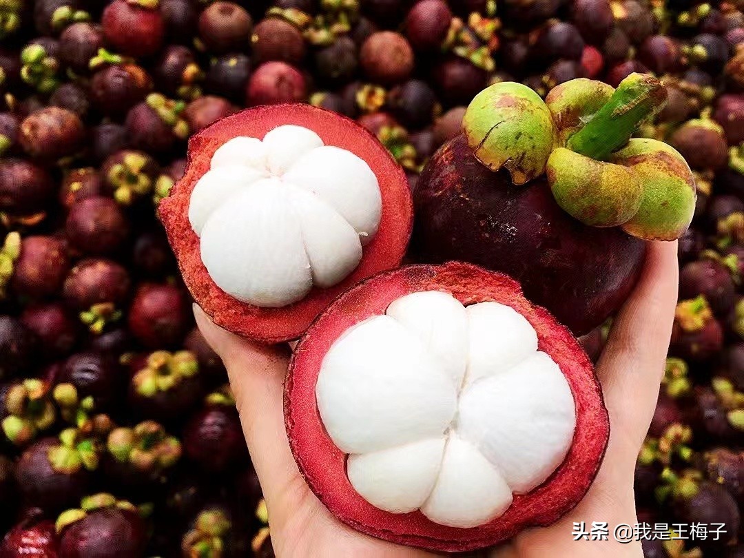 挑选山竹技巧揭示,山竹怎么挑选香甜