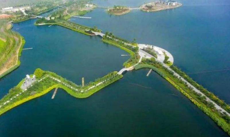 逆袭为百亿富豪的秦荣华，从日本买10000根木头：这本就是中国的