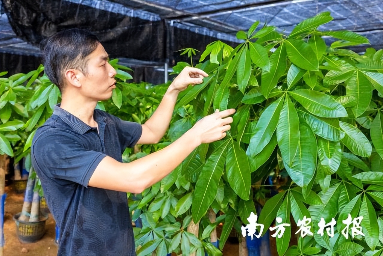 此心安处是吾乡全诗,吾心归处是吾乡议论文