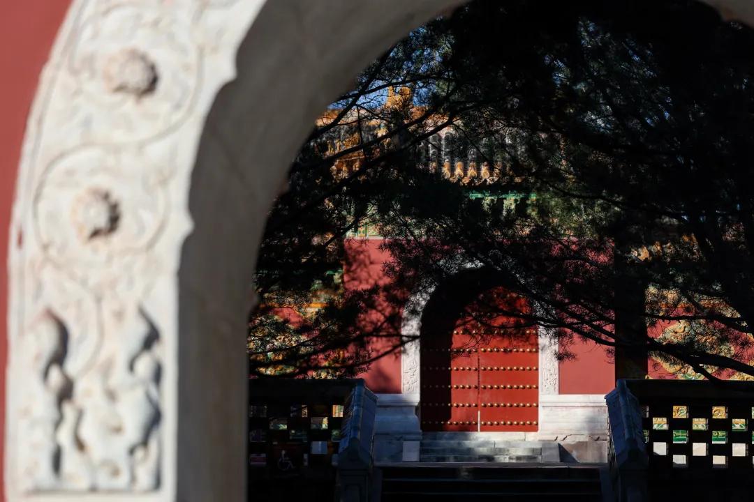 佳能eosr跟rp哪个好,佳能eosr3发布视频