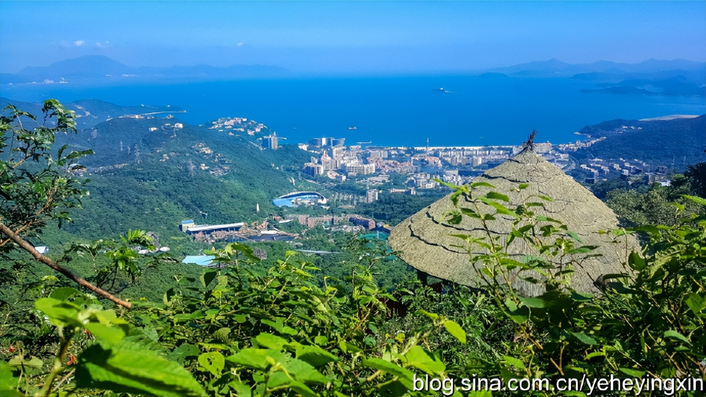 深圳东部华侨城视频,东部华侨城深海探奇