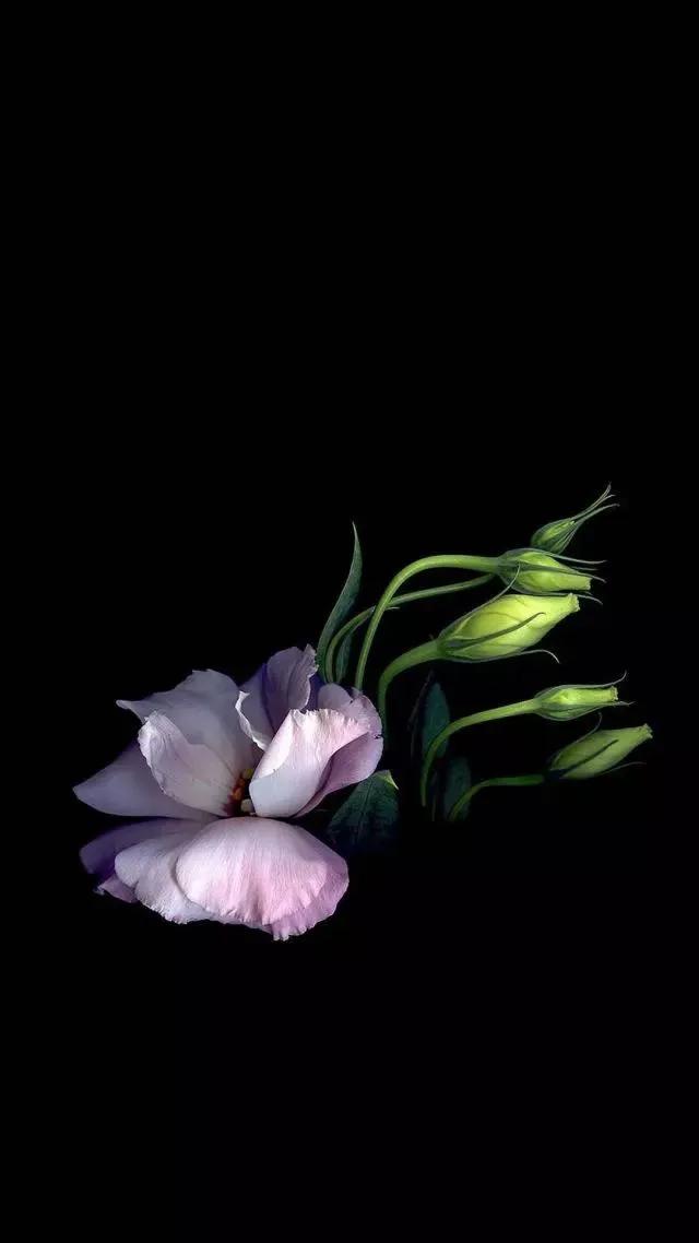 最美的光背景图片,超好看的夜晚蓝色的背景图