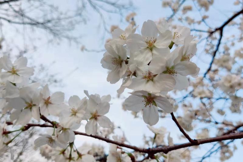 怎么应付控制欲强的人,控制欲强的人心理分析