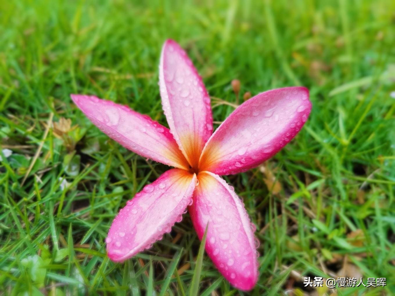 海南环岛游攻略详细行程,海南东线环岛游攻略自由行