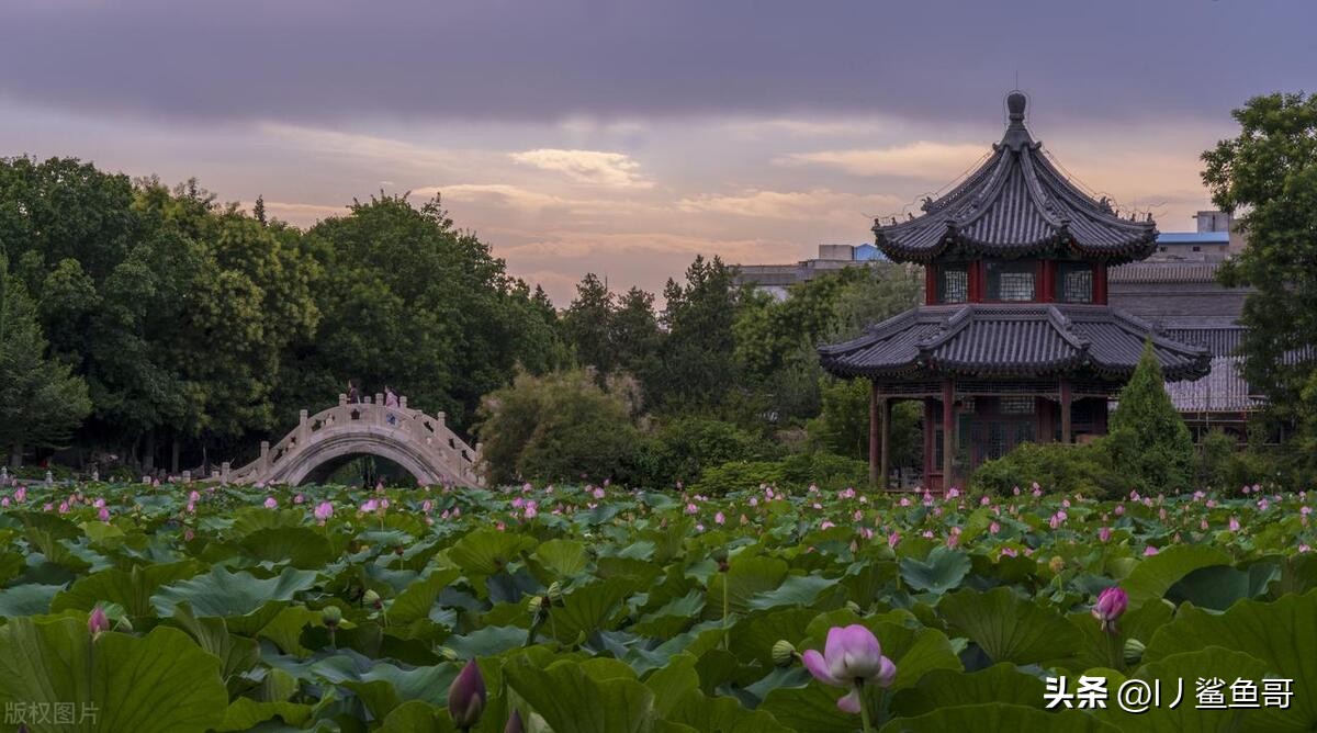 保定市哪里有吃喝玩乐的旅游景点,保定市到西双版纳都有哪些景点