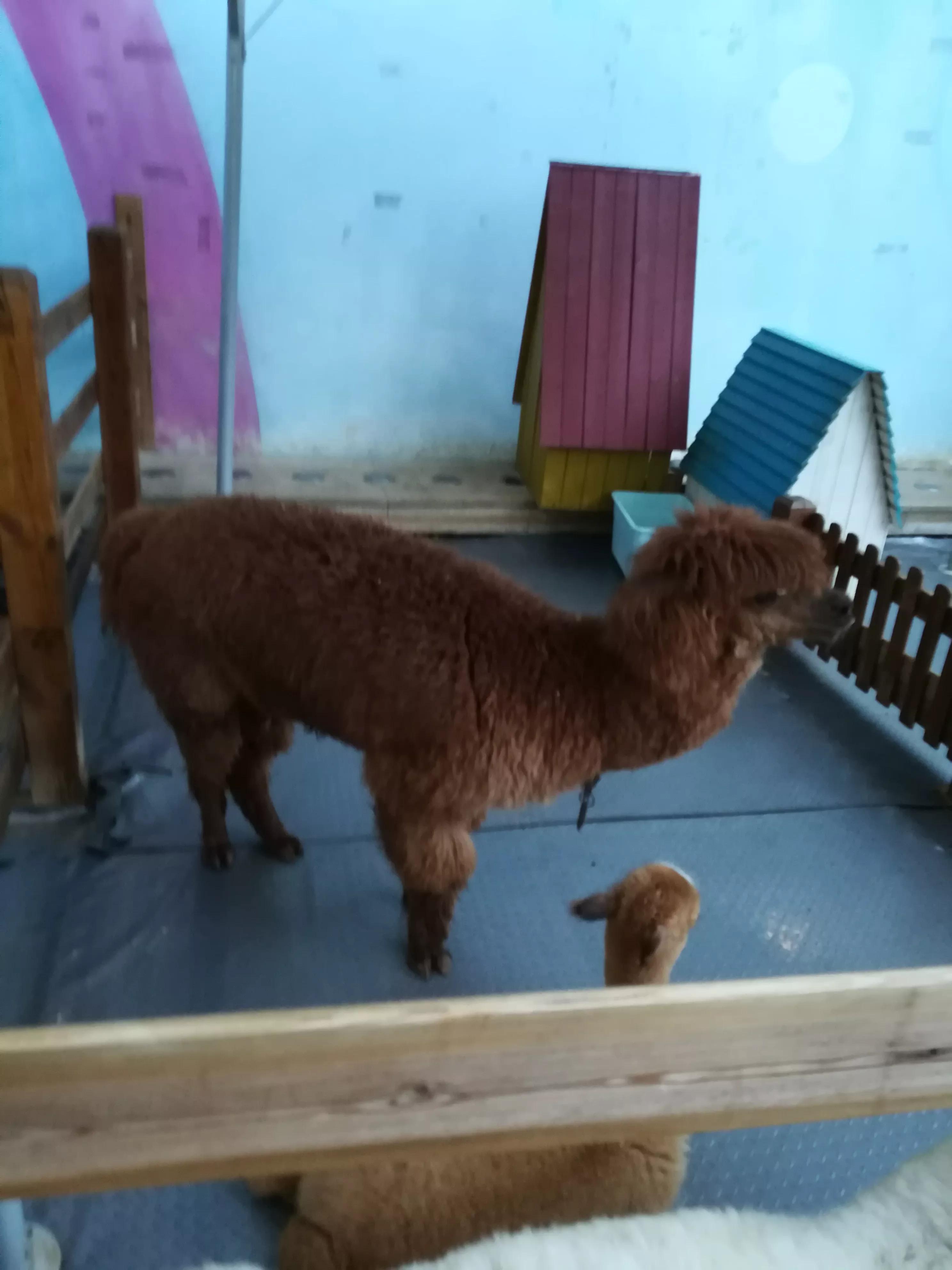 云南省昆明市1903公园