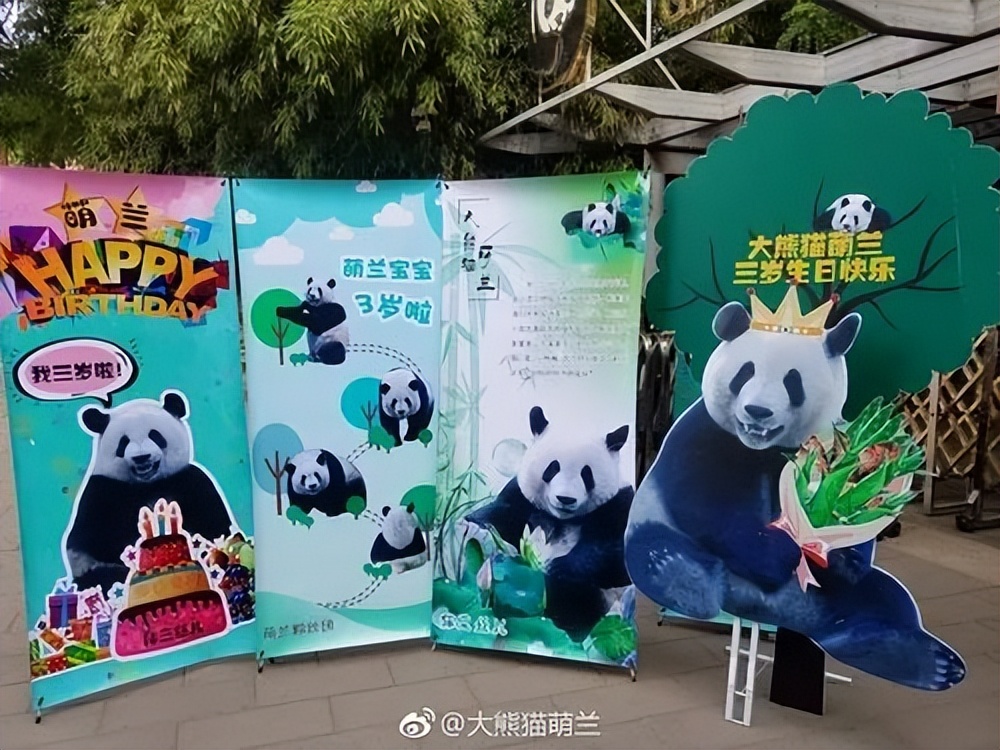 中国十大顶流女明星,顶流女明星穿越电视剧