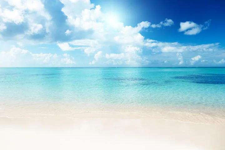 云中松鹤天海拾贝：只有读懂“财神”，才会拥有“财神”把握财源