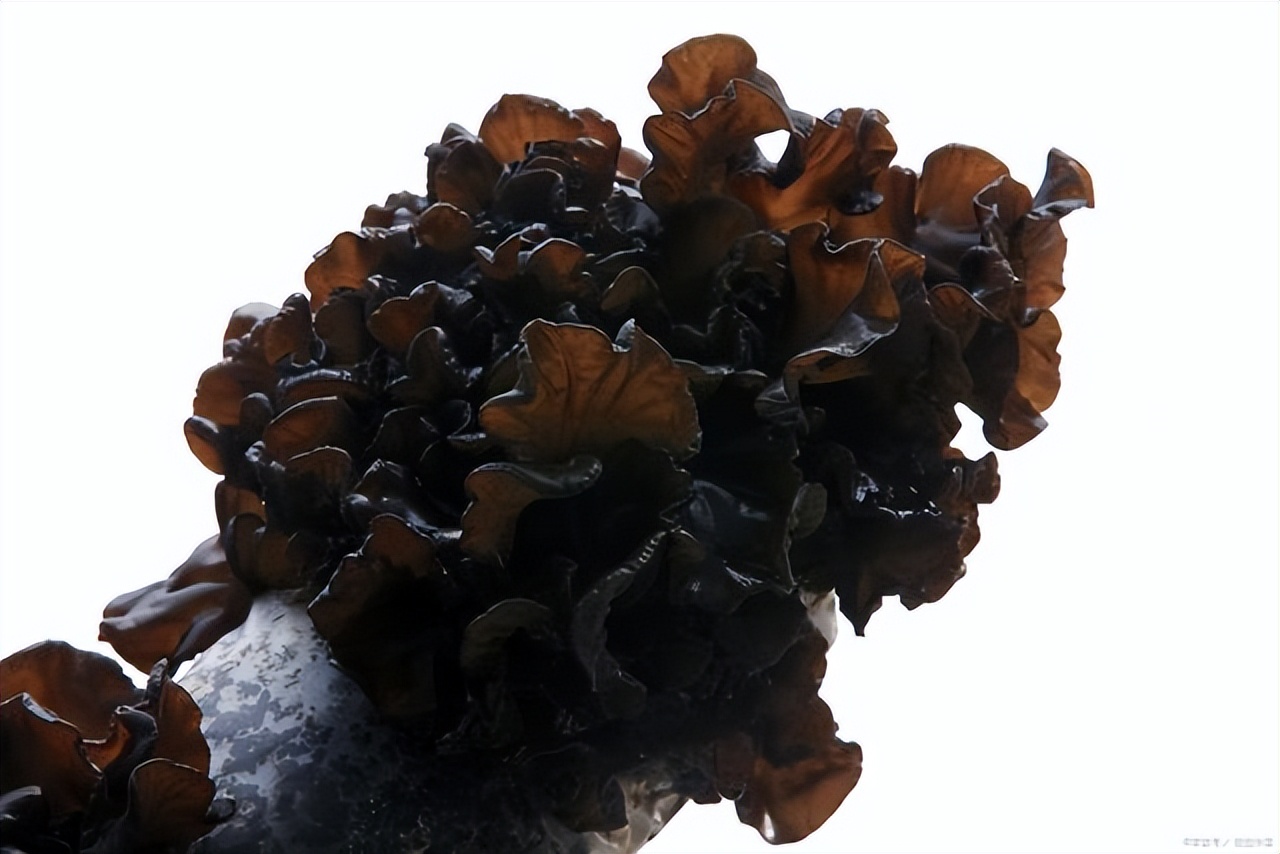 总感觉大便后擦不干净是什么原因,大便后总感觉擦不干净是什么原因