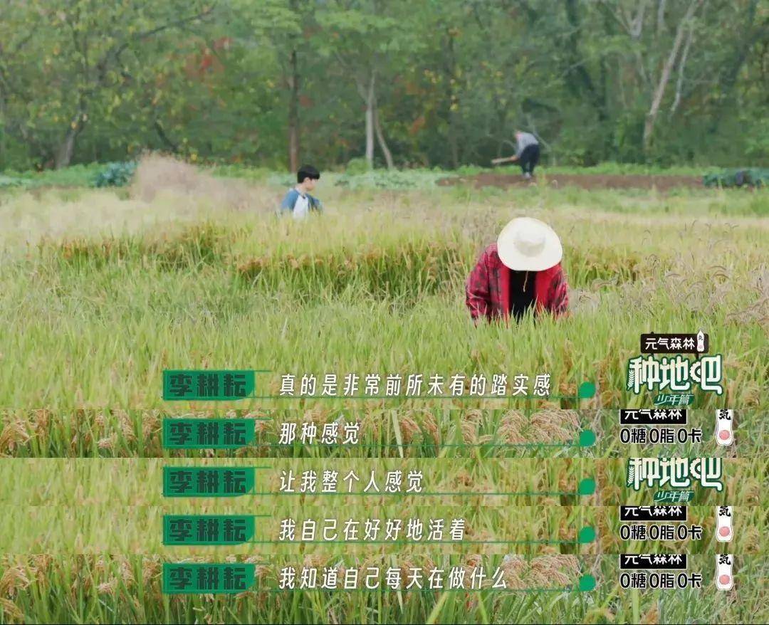 种地吧网友评价,种地吧观众评价