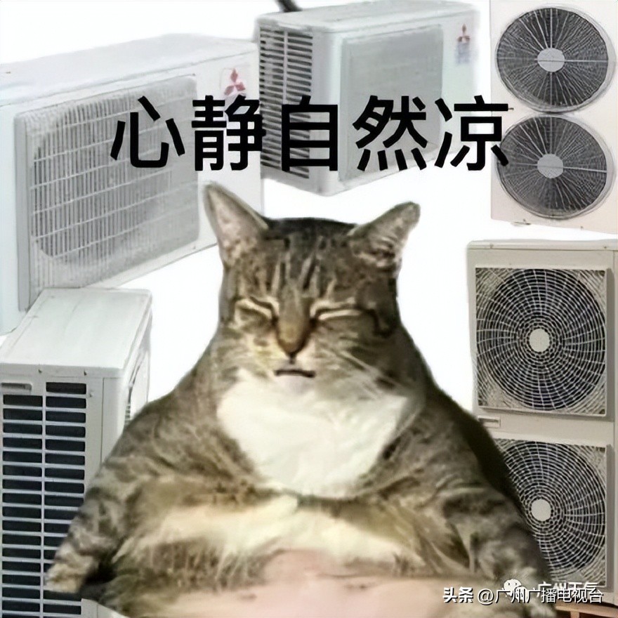 35℃天天见！广州年度“最热”将杀到！这几招防“暑”术请收好