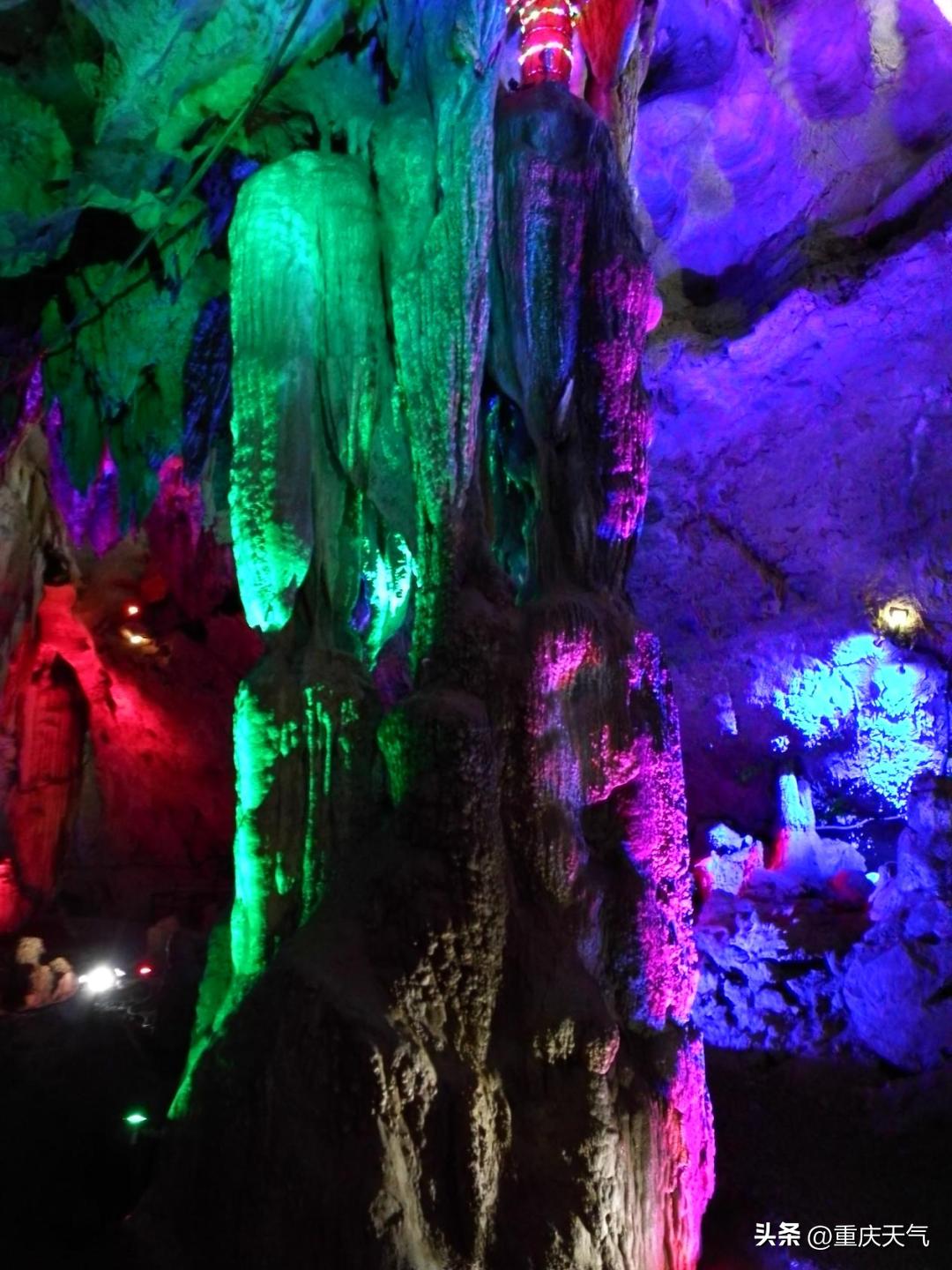 2023蓝莓采摘时间,重庆蓝莓采摘最佳时间