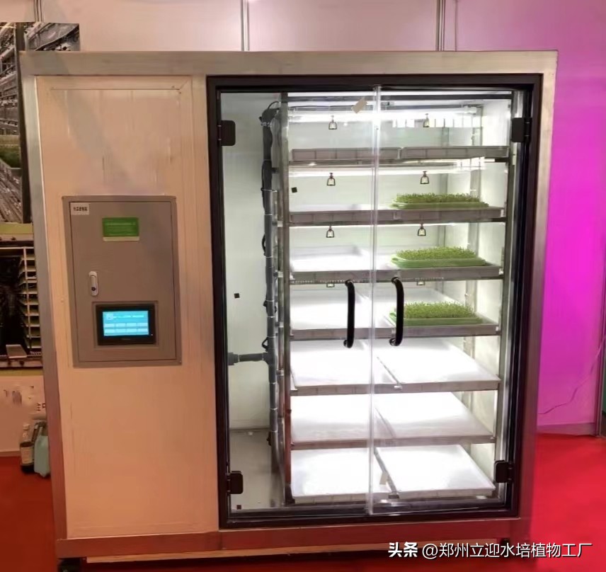 无土芽苗菜长几茬,无土芽苗菜能好吃吗