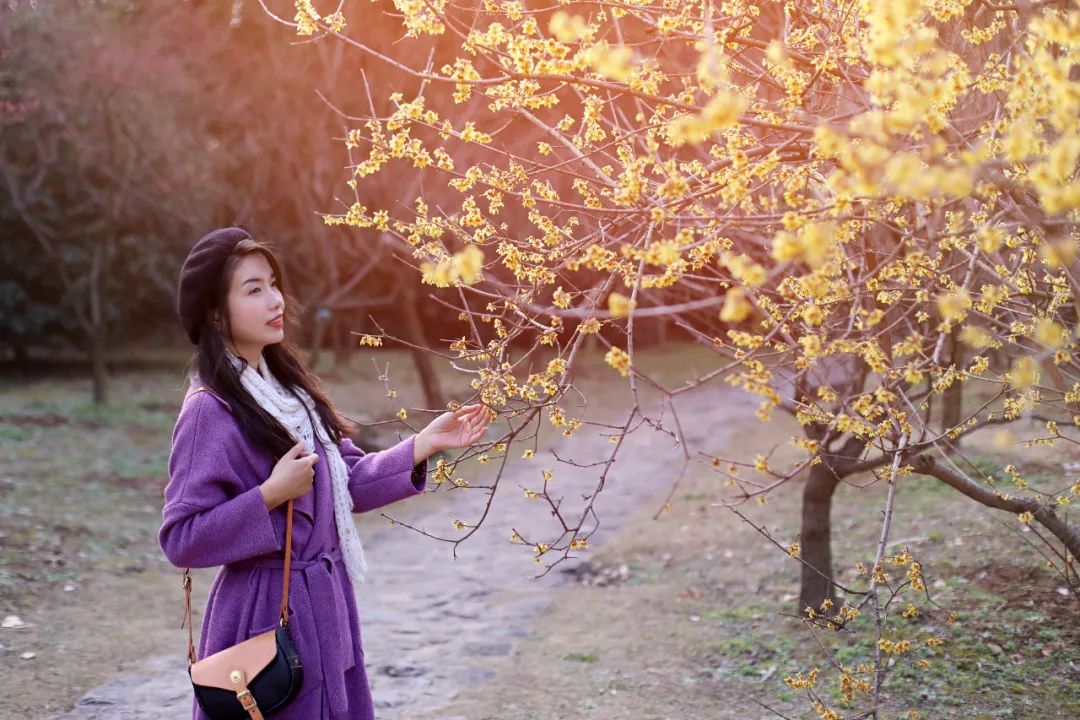 1年有150天住酒店,44次旅行,47次飞行!这江南女子怎么做到的?