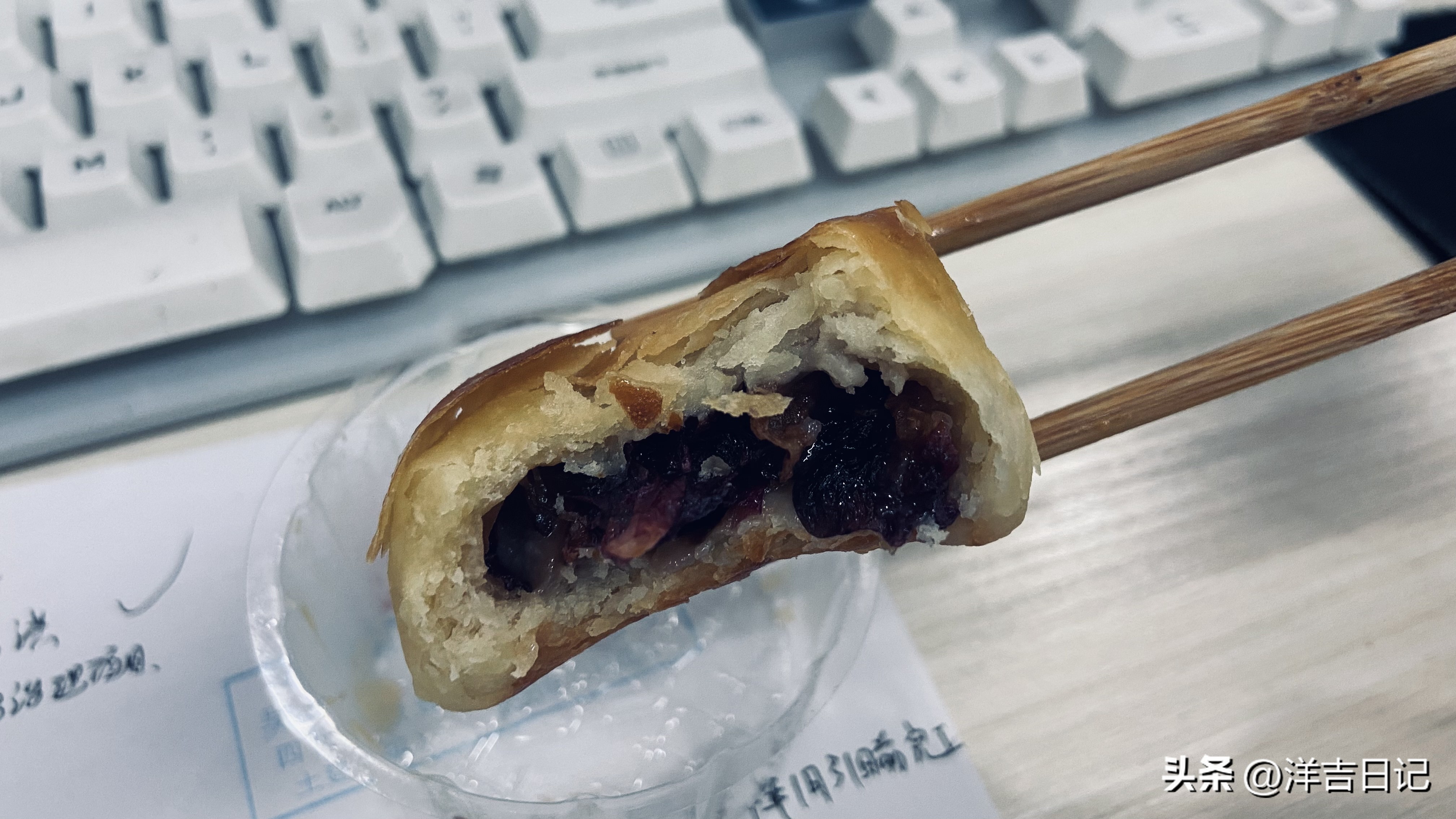 洋吉日记2023.4.28（花的意义？）