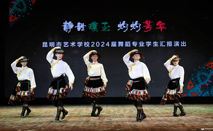 灼灼璞玉静世芳华的解释,与灼灼璞玉静世芳华相似的句子