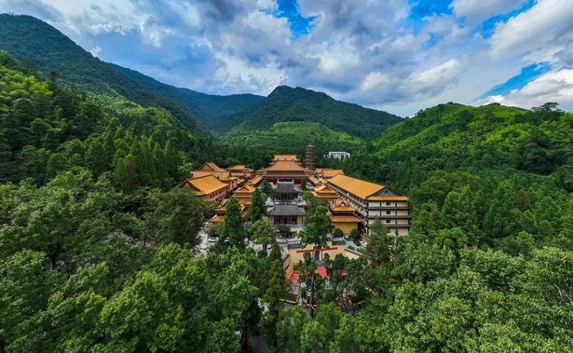 杭州旅游必去十大景点推荐一下,杭州看花好去处杭州网红景点