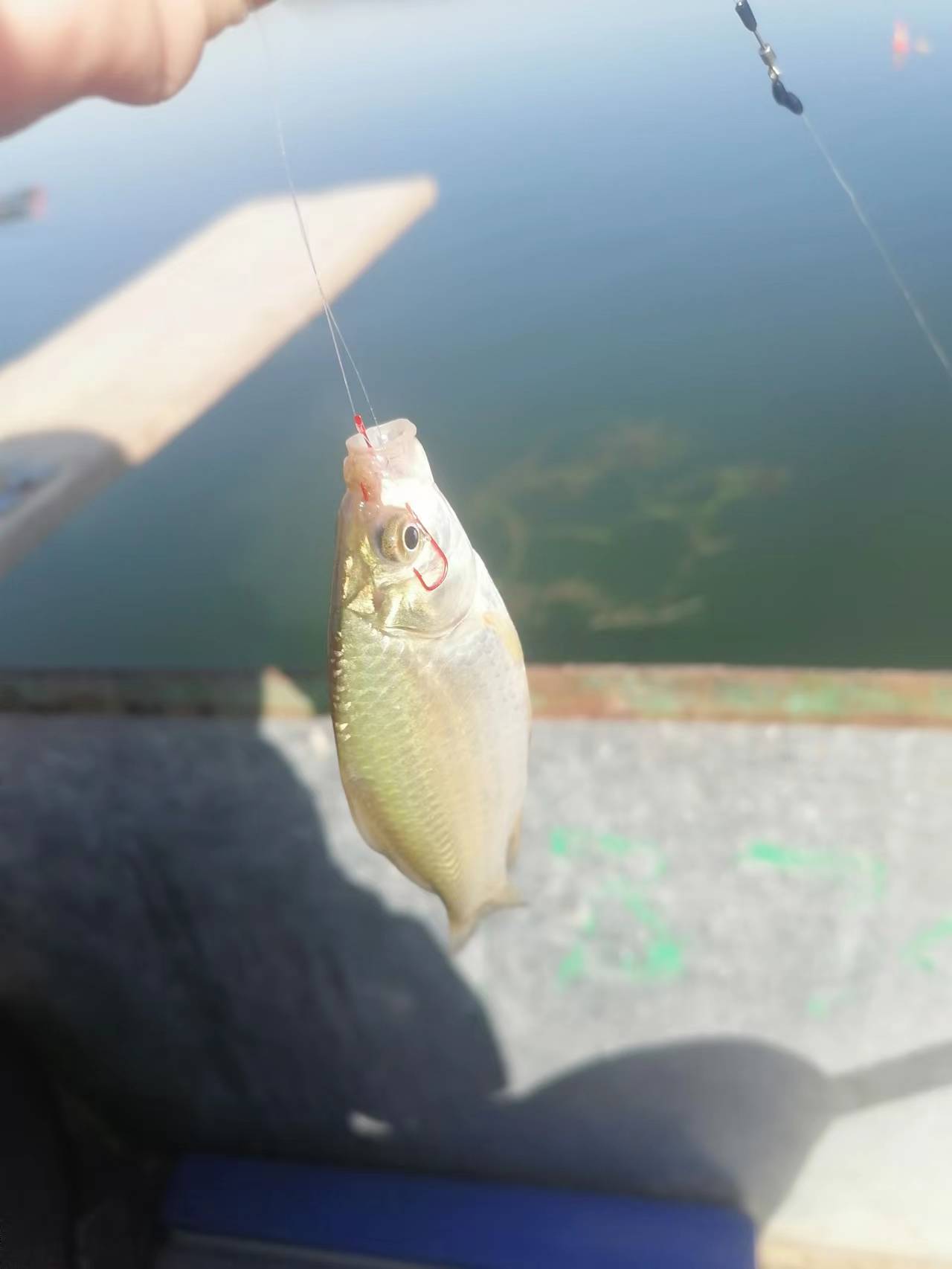 彰武水库打路亚,彰武水库船钓