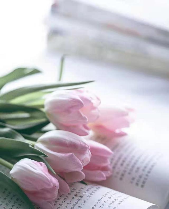 让人心灵平静的散文,散文人生最好的境界是丰富的安静