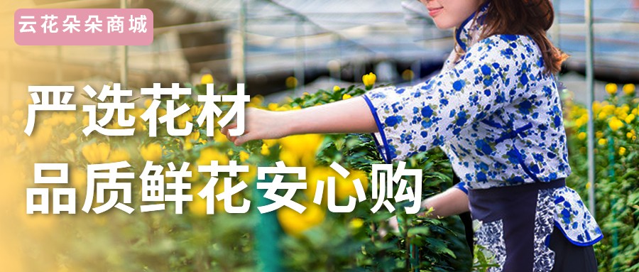 情人节鲜花什么价格最适合,鲜花批发情人节订花一般提前几天