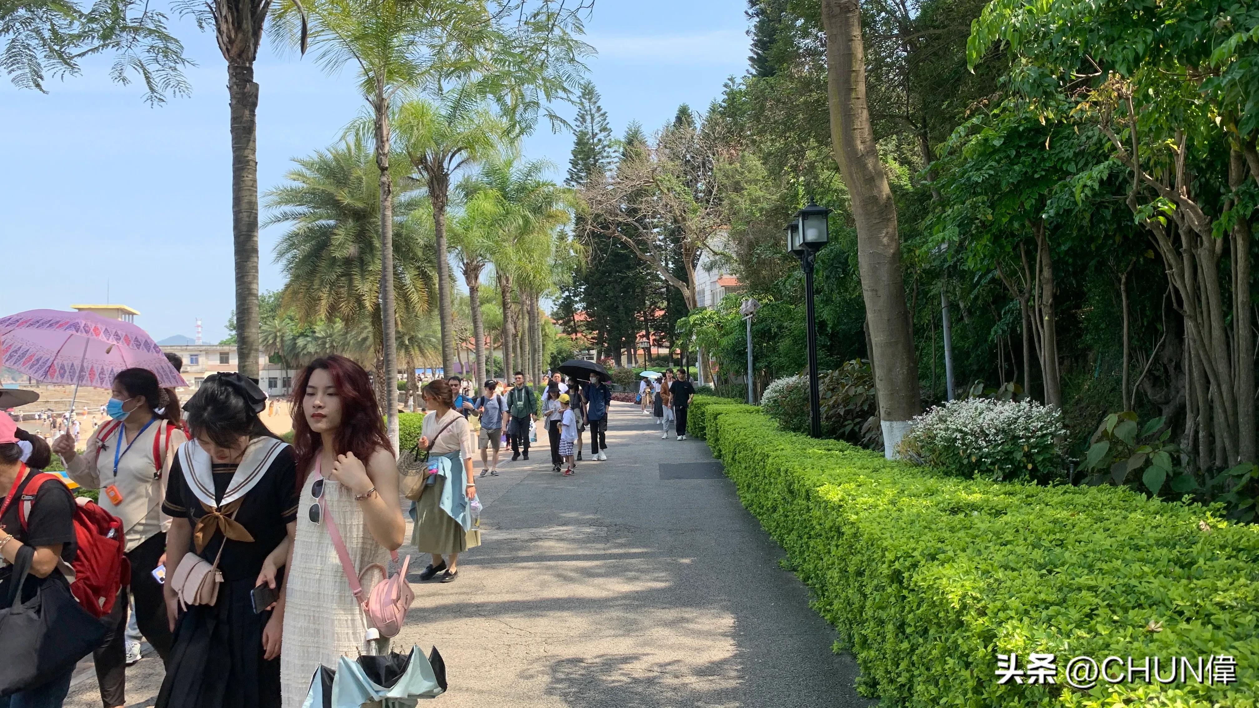 自由行厦门鼓浪屿四天怎么安排,鼓浪屿一日游五一